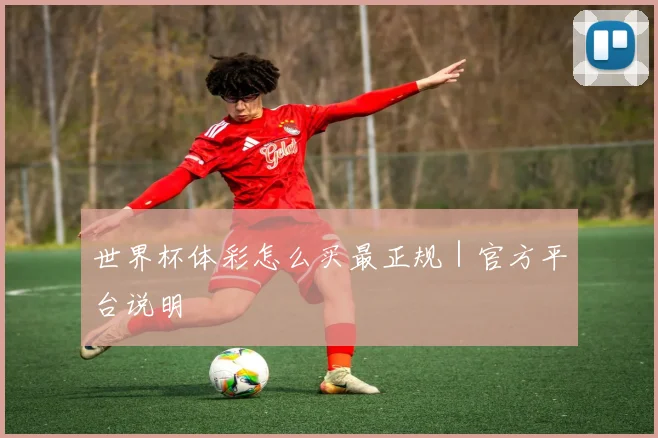 世界杯体彩怎么买最正规｜官方平台说明