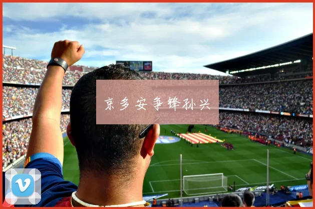 京多安争锋孙兴慜